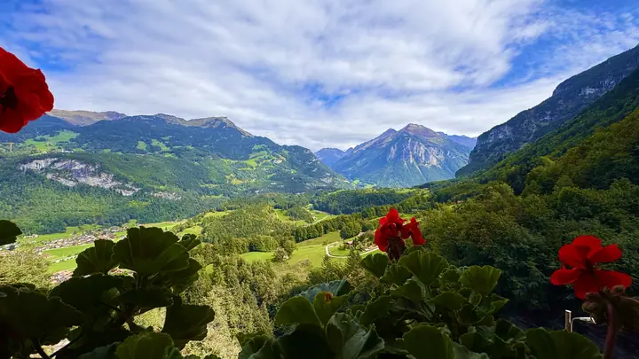 Alpine valley framed by red flowers